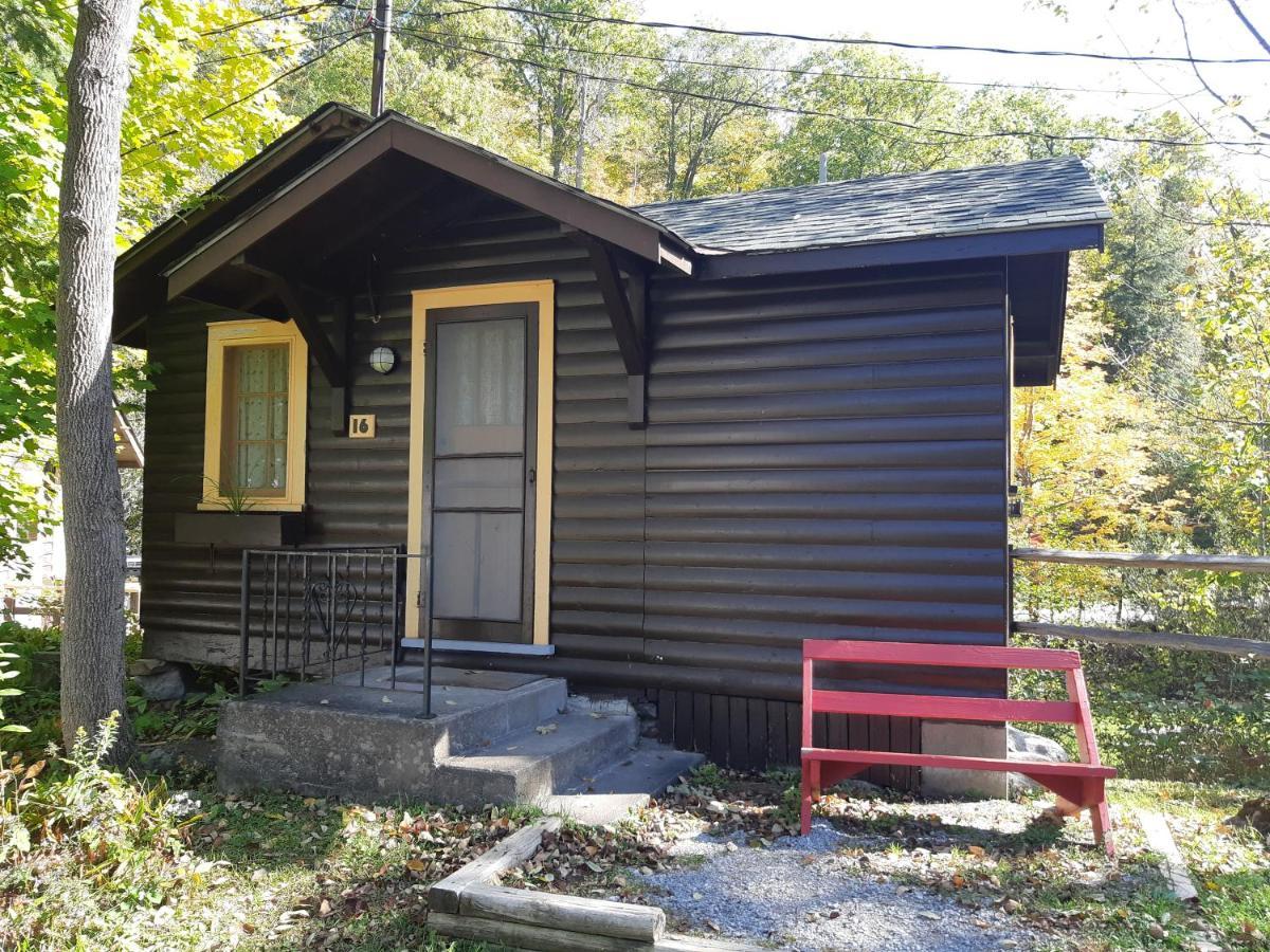 Miners' Bay Lodge Minden Rum bild